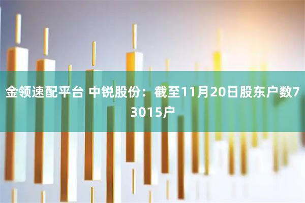 金领速配平台 中锐股份：截至11月20日股东户数73015户