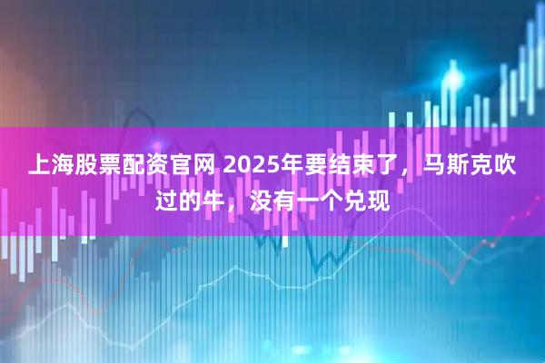 上海股票配资官网 2025年要结束了，马斯克吹过的牛，没有一个兑现