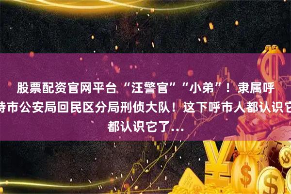 股票配资官网平台 “汪警官”“小弟”！隶属呼和浩特市公安局回民区分局刑侦大队！这下呼市人都认识它了…